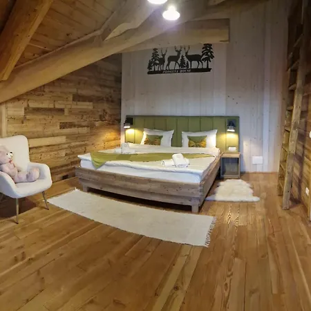 Holiday home Prosilva House 2 Toplita (Harghita)